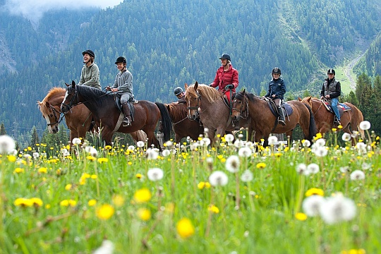 Ausritt mit Gina im Engadin