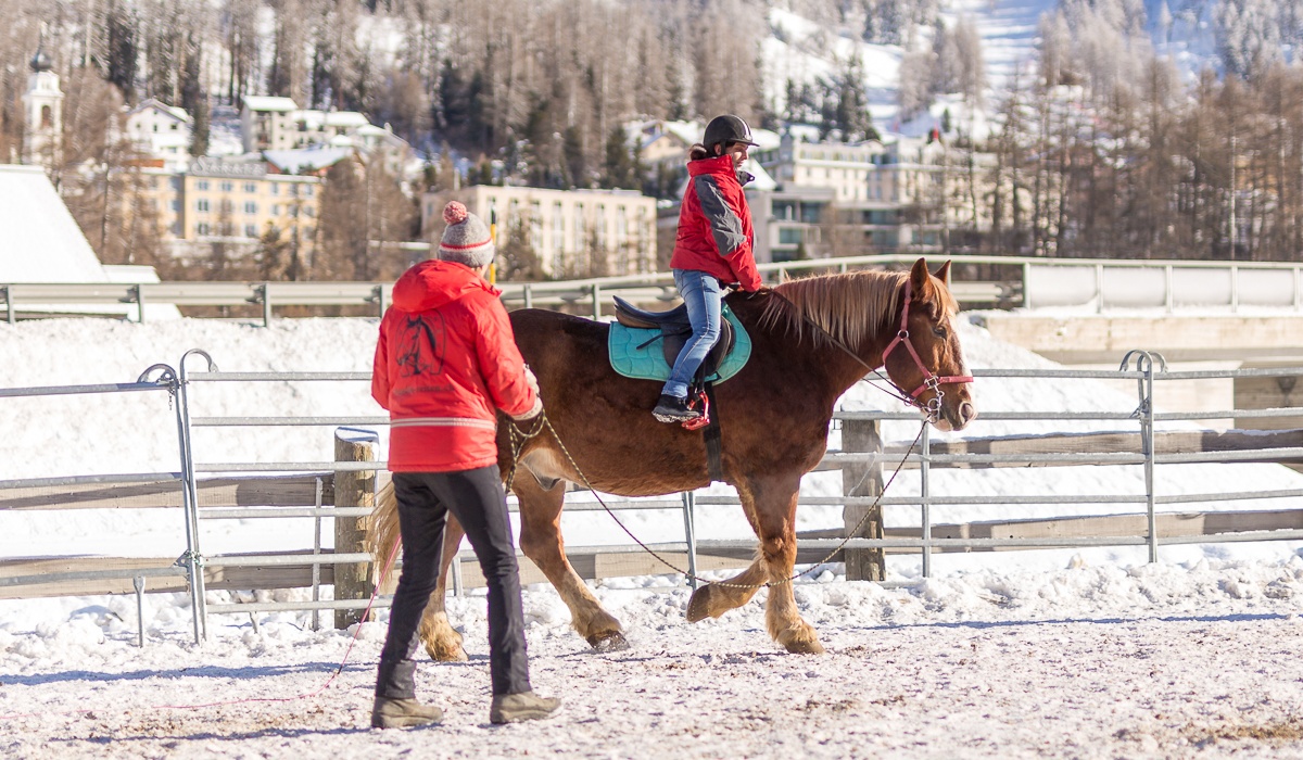 Lunge lessons with Gina Wohlwend