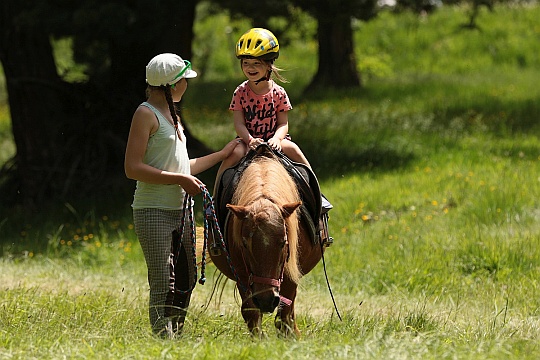 Pony rides