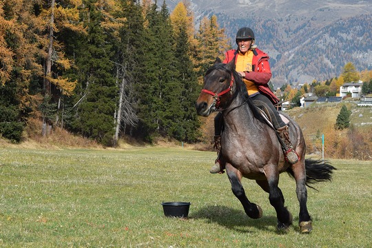 Gina Wohlwend im Galopp