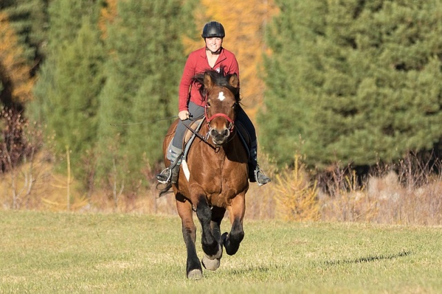 Praktikantin im Galopp