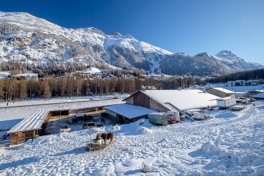 La scuderia a Pontresina